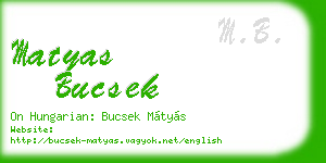 matyas bucsek business card